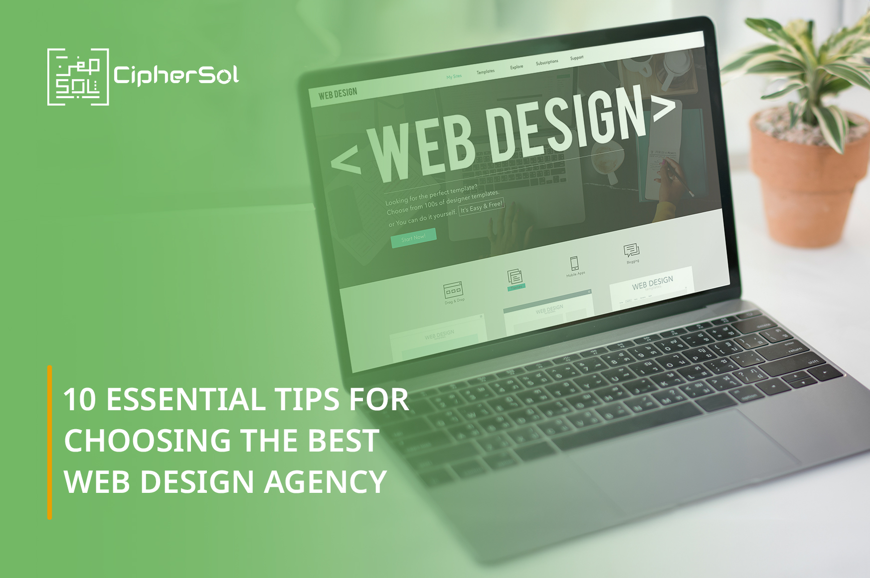 10 Essential Tips for Choosing the Best Web Design Agency